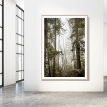 Load image into Gallery viewer, Bushland Hike _ Framed Print