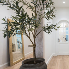 Load image into Gallery viewer, Floor Mirror _ 180cm _ Blonde Elm