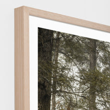 Load image into Gallery viewer, Bushland Hike _ Framed Print