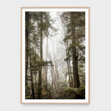 Load image into Gallery viewer, Bushland Hike _ Framed Print