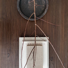Load image into Gallery viewer, Wabi-Sabi Platform Coffee Table _ Antique Brown