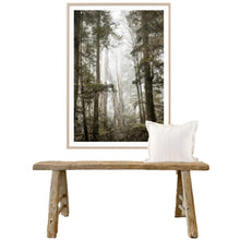 Load image into Gallery viewer, Bushland Hike _ Framed Print