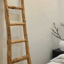 Load image into Gallery viewer, Organic Decorative Ladder _ 200cm _ Honey Elm