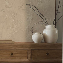 Load image into Gallery viewer, Antique Glazed Pottery _ Beige
