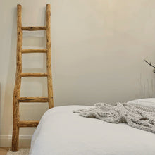 Load image into Gallery viewer, Organic Decorative Ladder _ 200cm _ Honey Elm
