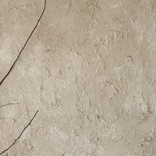 Load image into Gallery viewer, Ancient Sandy Desert _ Textured Canvas by Sarah Farinski _ Warm Beige
