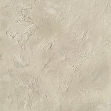 Load image into Gallery viewer, Quiet Earth Collection _ Framed Textured Canvas by Sarah Farinski _ Neutral Beige

